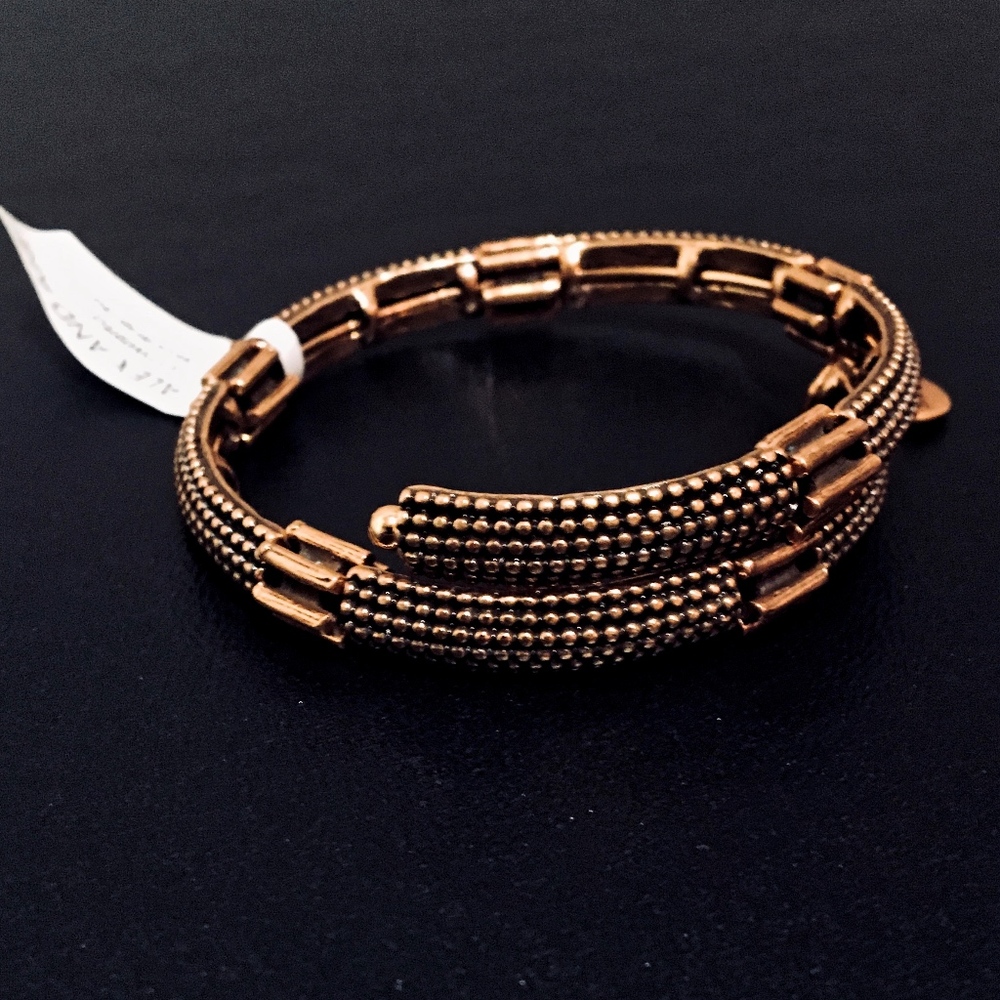 Alex and Ani Nova Rafaelian Gold Bangle Wrap